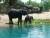 A part l'eau couleur piscine on se  croirait  en Tanzanie